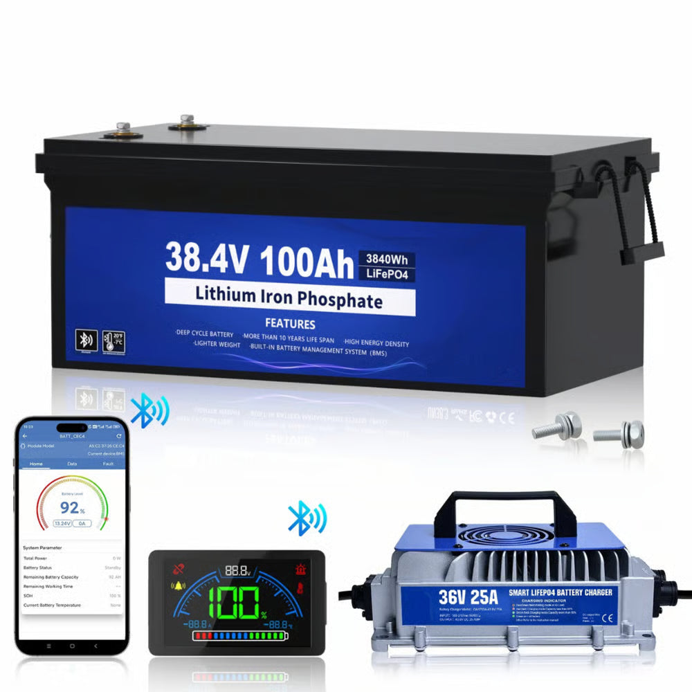 36 V 100 Ah LiFePO4