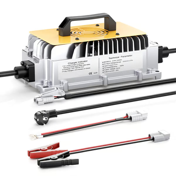 24 V 30 A LiFePO4-akkulaturi